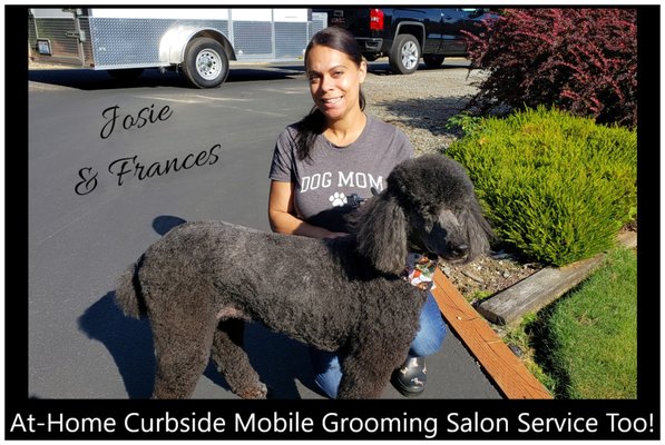 door to door dog grooming