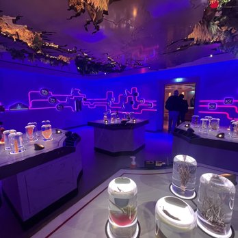 Johnnie Walker Princes Street - Museums Near Me - Edinburgh, EDH Johnnie Walker Princes Street - Museums Near Me - Edinburgh, EDH