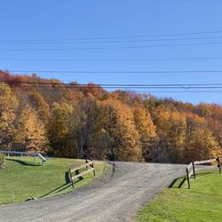 Rustic Ridge Winery
