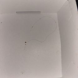 HAIR COOKED INTO MY DAMN BURGER