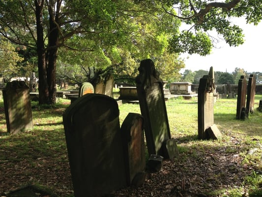 Camperdown Cemetery by null