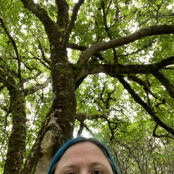 Connie Hansen Garden Conservancy - Nice old trees - Botanical Gardens Near Me - Lincoln City, Oregon