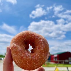 Gieringers Family Orchard & Berry Farm - Strawberry donut
