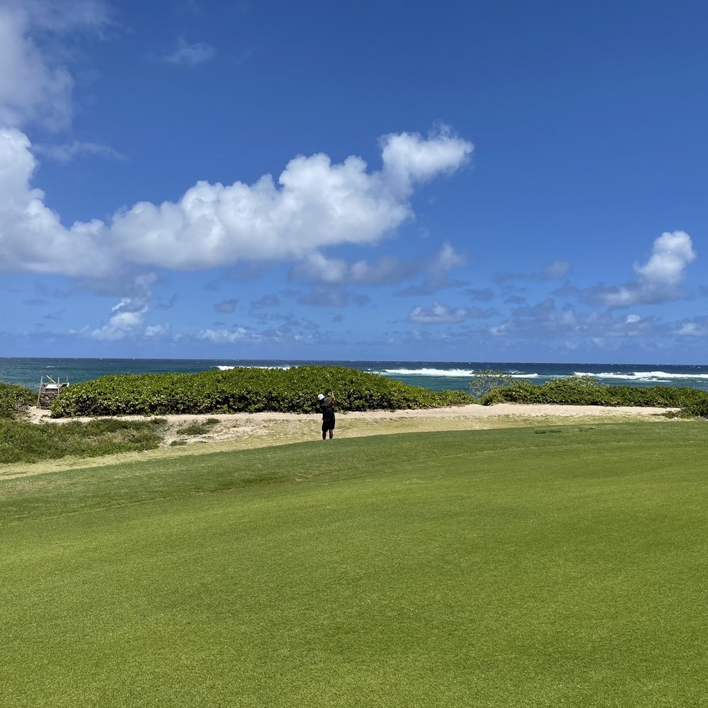 Island Express Shuttle - Golfing at Turtle Beach - Airport Shuttles Near Me