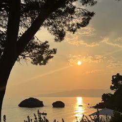 Santavenere