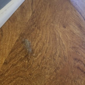 Anita's Cleaning - Big dust bunny left behind - Office Cleaning Near Me
