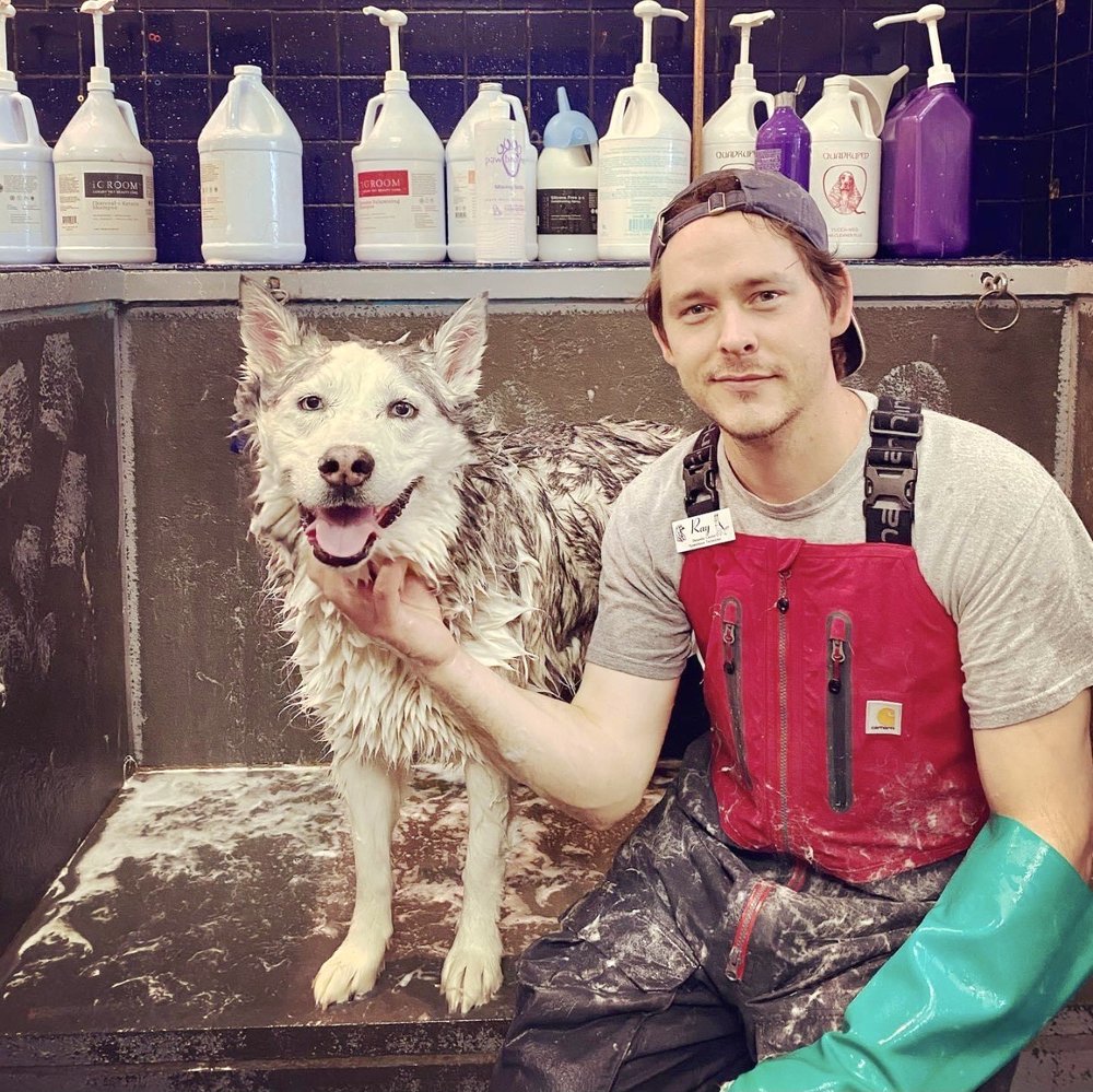 THE DOGGIE WASH Updated August 2024 78 Photos & 36 Reviews 609 E