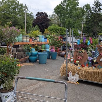 Van Houten Farms - Seasonal tropicals - Farmers Market Near Me - Orangeburg, New York Van Houten Farms - Seasonal tropicals - Farmers Market Near Me - Orangeburg, New York