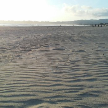 Matt Davis Trail - Parks Near Me - Stinson Beach, California Matt Davis Trail - Parks Near Me - Stinson Beach, California