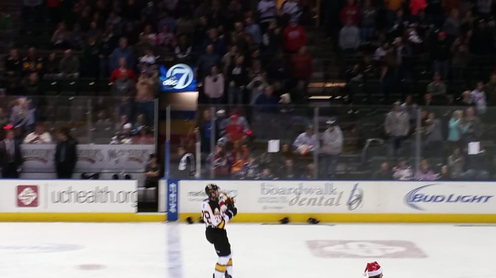 Colorado Eagles Logo