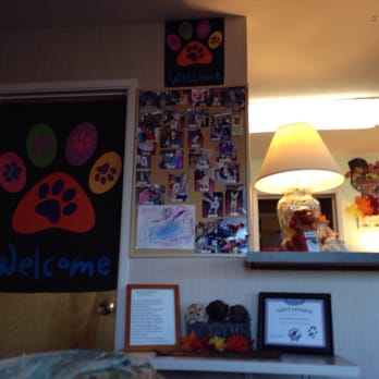 Seabird Lodge - They definitely welcome pets! - Hotels Near Me - Fort Bragg, California Seabird Lodge - They definitely welcome pets! - Hotels Near Me - Fort Bragg, California