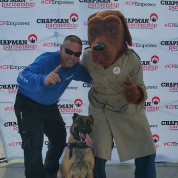 Delta Force K-9 - Pet Training Near Me