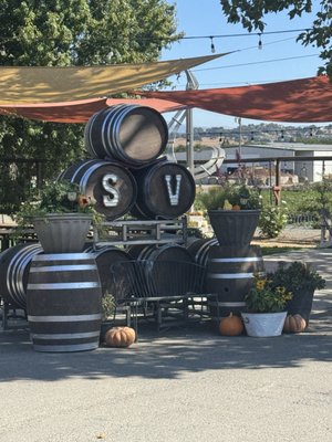 Sarah's Vineyard by null