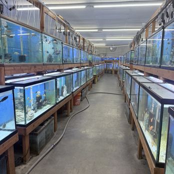 Texas Aquatics - Local Fish Stores Near Me - North Richland Hills, Texas Texas Aquatics - Local Fish Stores Near Me - North Richland Hills, Texas