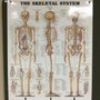 Photo of Spine & Sport Biomechanical Rehabilitation Center
