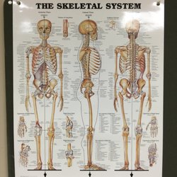Spine & Sport Biomechanical Rehabilitation Center