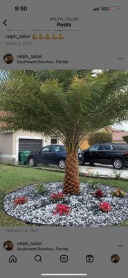Tree Services - Tree Services, Tree Removal, Tree Trimming,
Gardening Services, Stump Grinding, Sprinklers - New Installation and Repair. Tree Services - Tree Services, Tree Removal, Tree Trimming,
Gardening Services, Stump Grinding, Sprinklers - New Installation and Repair.