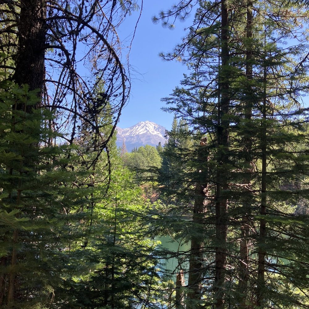 Lake Siskiyou Trail - Lake Siskiyou and Mount Shasta, view from the trail. - Hiking Near Me - Mount Shasta, California