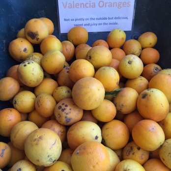 Fran's Original Farm Stand - Valencia Oranges - Farmers Market Near Me - Escondido, California