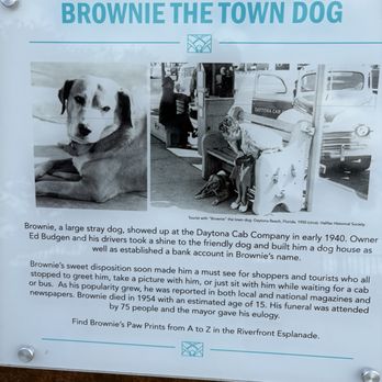 Brownie’s Dog Park - Dog Parks Near Me - Daytona Beach, Florida Brownie’s Dog Park - Dog Parks Near Me - Daytona Beach, Florida