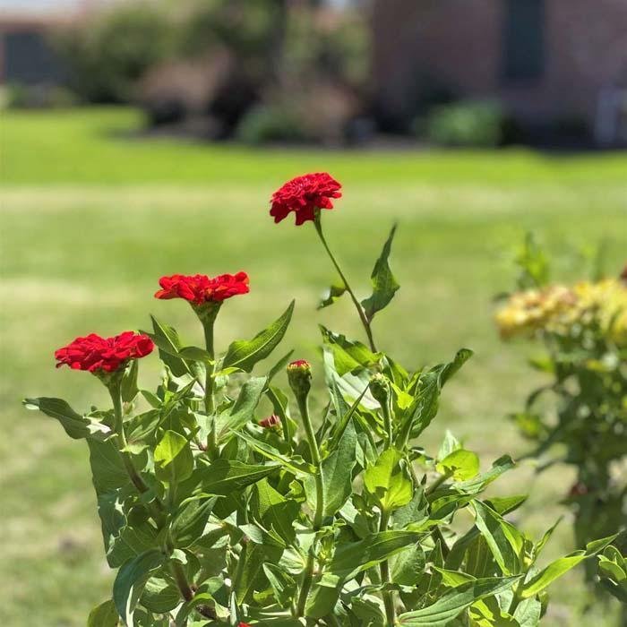 M & M LAWN & IRRIGATION Updated August 2024 17 Photos 2896 N Hwy