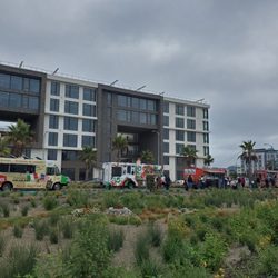 Food trucks