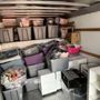 Photo of Simba and Shawn’s Moving