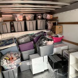 Simba and Shawn’s Moving