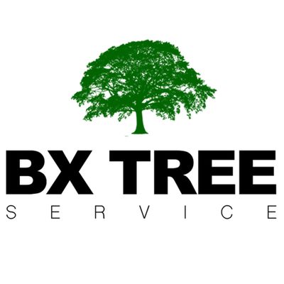 BX Tree Service