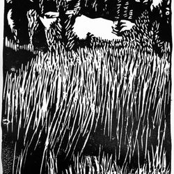 Meloy Gallery - Crocket Lake Wetland
linocut
Rebecca Meloy