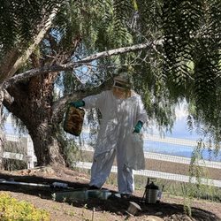 Dewey Pest & Termite Control