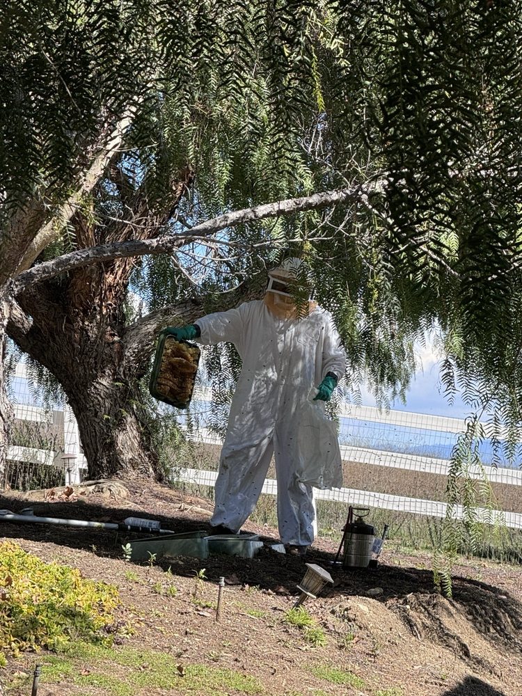 DEWEY PEST & TERMITE CONTROL Updated September 2024 11 Photos & 56