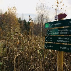 Nordbytjernet - Signs of the trails