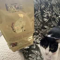 Great quality cat food and our newly adopted family member Great quality cat food and our newly adopted family member