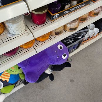 Dollar Tree - Cute plushie - Discount Store Near Me - Ajax, Ontario Dollar Tree - Cute plushie - Discount Store Near Me - Ajax, Ontario