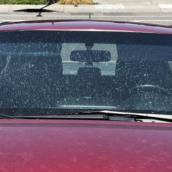 Official Pest Prevention - Pest Control Near Me - Elk Grove, California Official Pest Prevention - Pest Control Near Me - Elk Grove, California