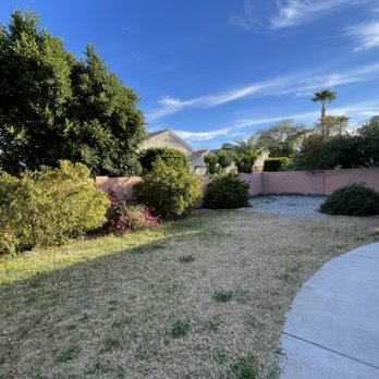 Essence AZ - Before and after residential clean up for move in ready home - Tree Services Near Me Essence AZ - Before and after residential clean up for move in ready home - Tree Services Near Me