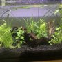 Photo of The Aquarium & Fish Store