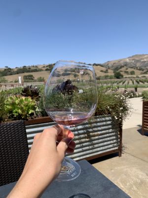 Zaca Mesa Winery by null