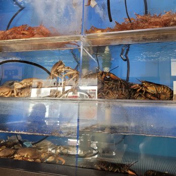 Pop Kitchen - Seafood tank - Seafood Near Me - Daly City, California