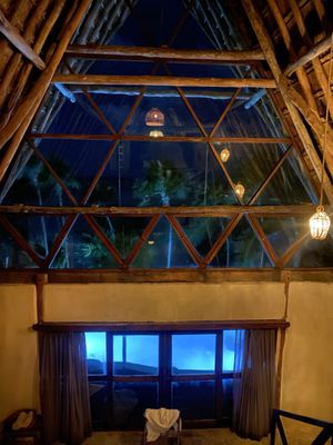 Papaya Playa Project by null