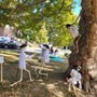 Photo of Scarecrows Along Main Old Wethersfield