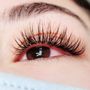 Photo of Hollywood Eyelashes
