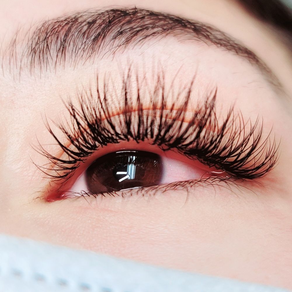 Hollywood Eyelashes Logo