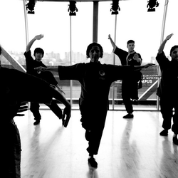 Lishi Tai Chi, Qi Ging & Kung Fu