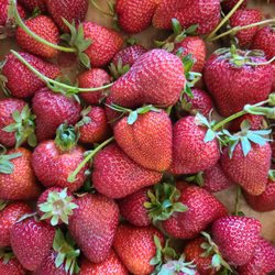 Groundworks Organics - Big strawberries lack juiciness & taste