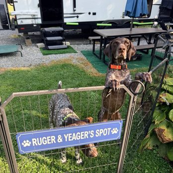 Pine Cove Campground - Camper and 2 dogs - Campgrounds Near Me - Wilmington, Ohio