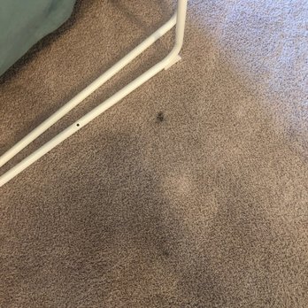 Shiny Carpet Cleaning - Before - Carpet Cleaning Near Me - Springfield, Virginia