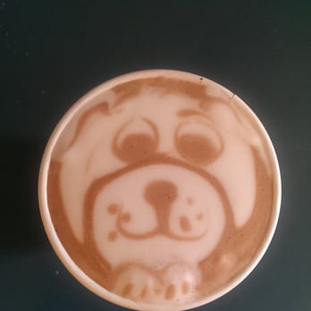 Moore Coffee Shop - Hot coco with dog - Coffee & Tea Near Me - Seattle, Washington Moore Coffee Shop - Hot coco with dog - Coffee & Tea Near Me - Seattle, Washington