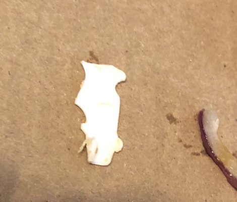 La Villa Pizzeria by null